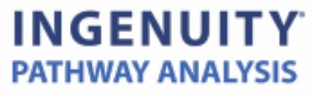 Ingenuity Pathway Analysis