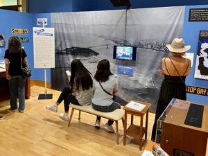 Photo of Voices from the Environment exhibit.